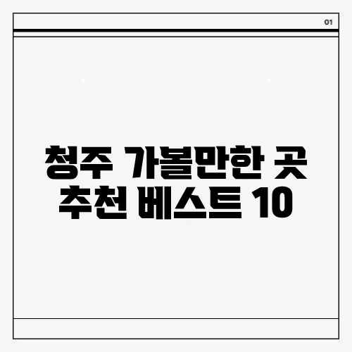 청주 가볼만한 곳 추천 베스트 10