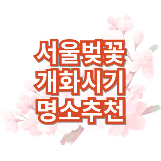 서울-벚꽃-개화시기-명소