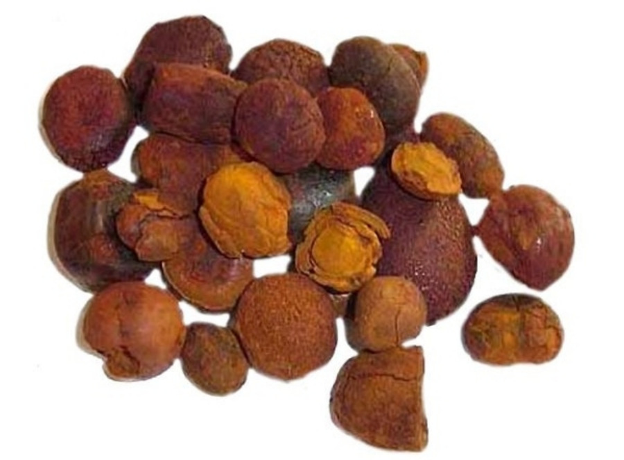 야생에서 채취를 한 소의 쓸개에 있는 담석인 노란 우황을 깨끗하게 세척을 한 후에 하얀 바닥 위에 20여개 놓아두고 찍은 사진