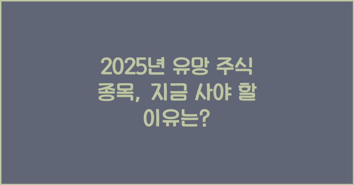 2025년 유망 주식 종목