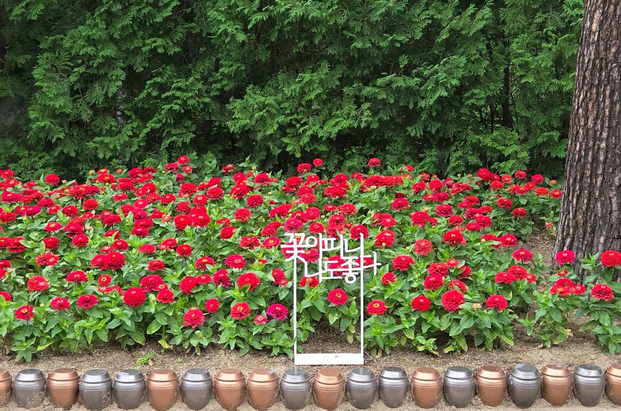 강릉솔향수목원