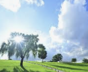 ESFP 유형 특징 분석