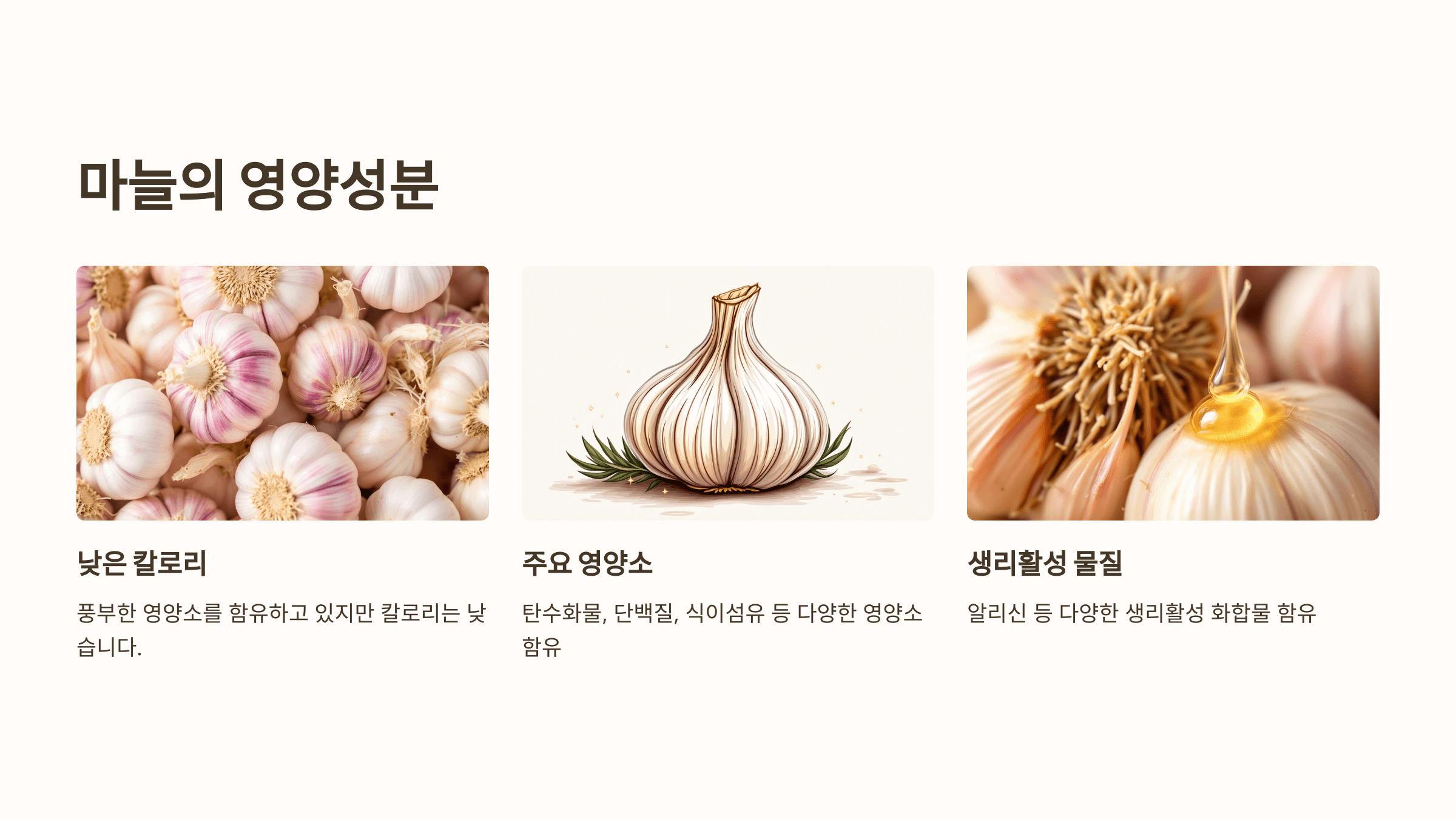 마늘 사진입니다.