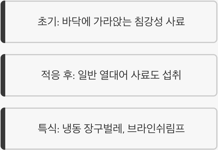 먹이, '아무거나' 잘 먹는 착한 식성