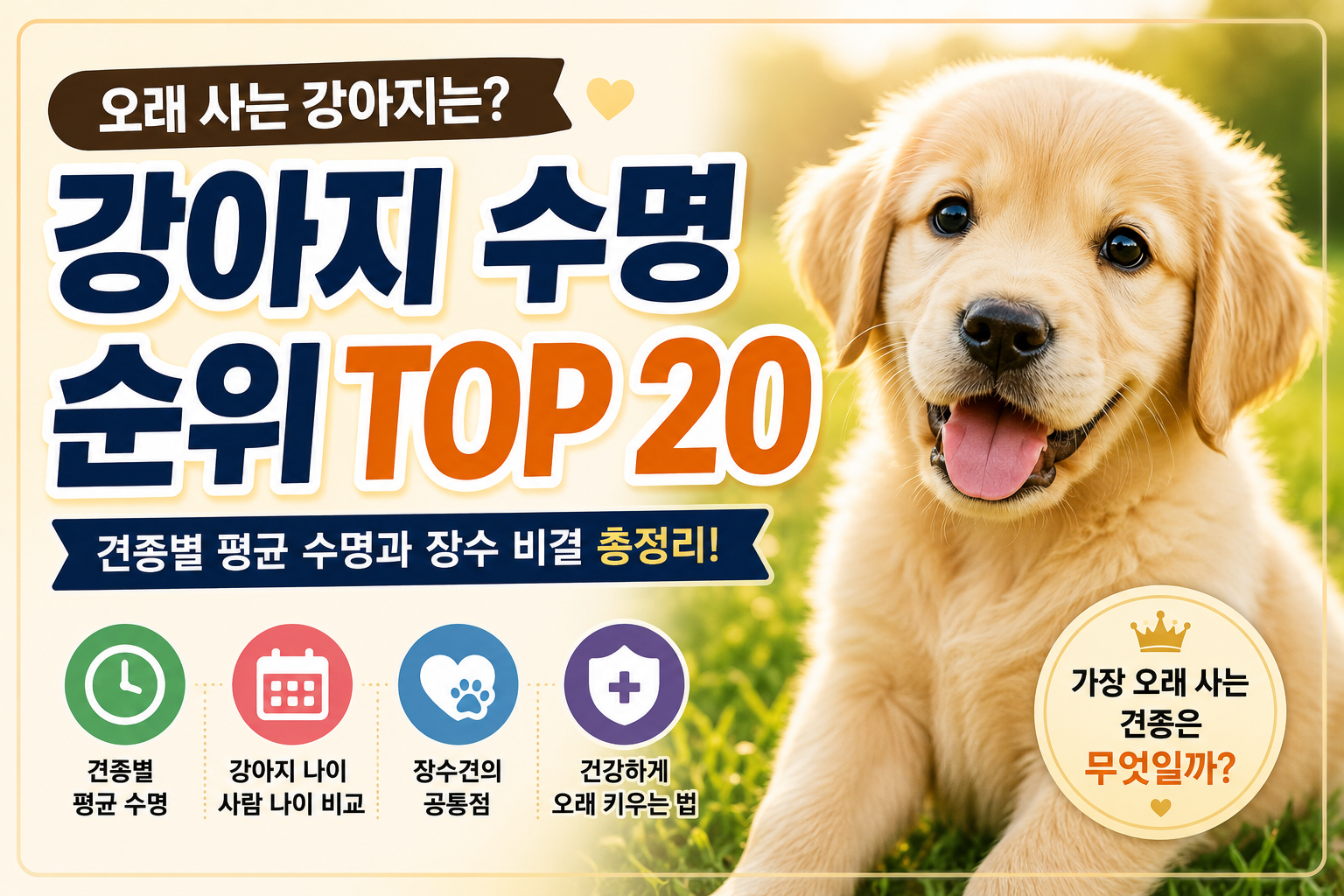 오래 사는 강아지 순위 TOP 20