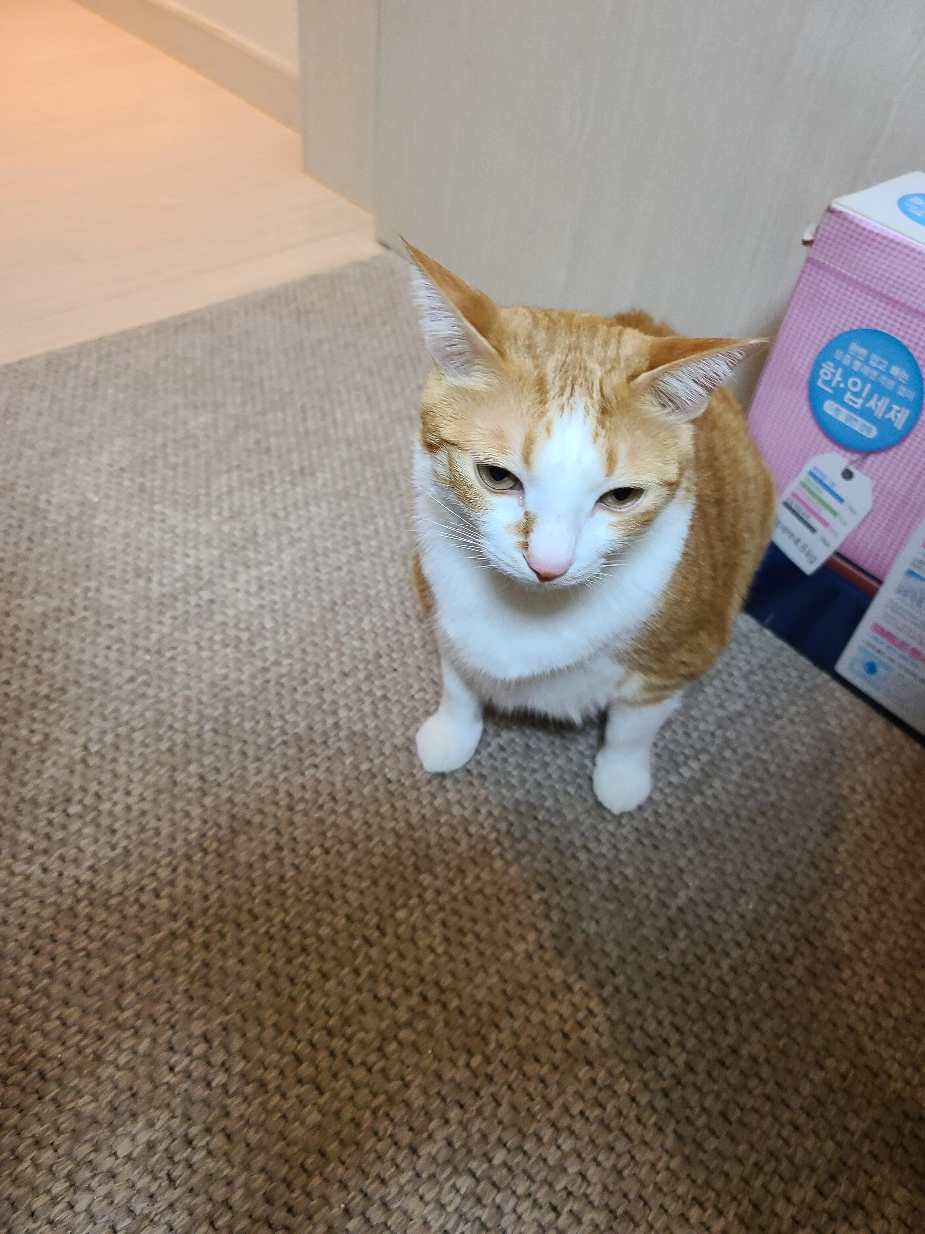 그날이 다가왔다! 아이들 화장실모래전체갈이!!