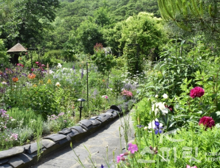 대상포진 예방접종 백신종류 비용