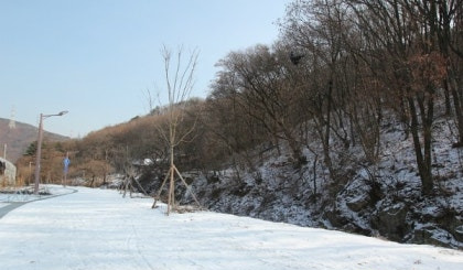 의왕 반려견 겨울 나들이 명소, 강아지와 함께 걷기 좋은 산책 코스