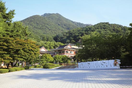 서울근교 갈만한곳 당일치기 여행 양평 - 두물머리, 구둔역, 두메향기, 들꽃수목원, 서후리숲, 세미원, 쉬자파크, 양떼목장, 용문산관광지, 중미산천문대, 오르다온