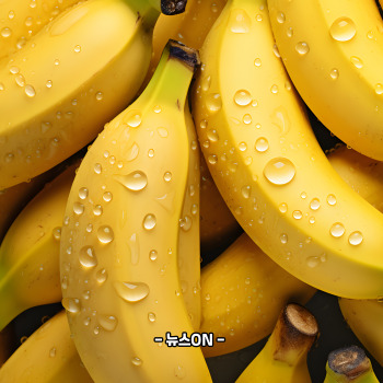 칼륨이 많은 과일과 채소 