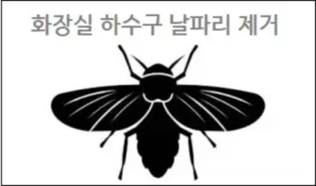 화장실 하수구 날파리 날벌레 제거