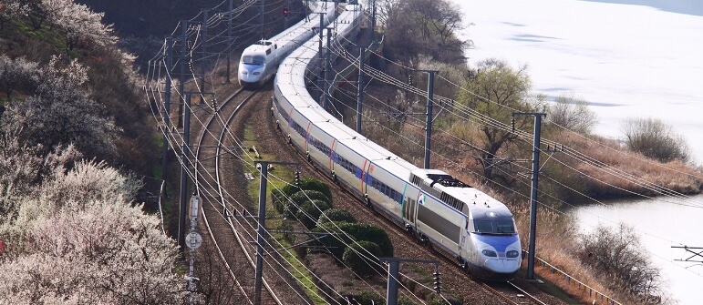 3월 국내 여행지 추천