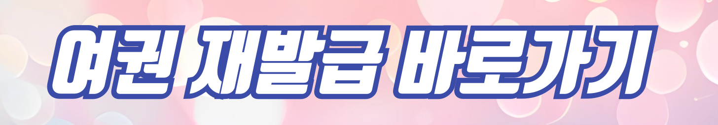 여권재발급 온라인신청