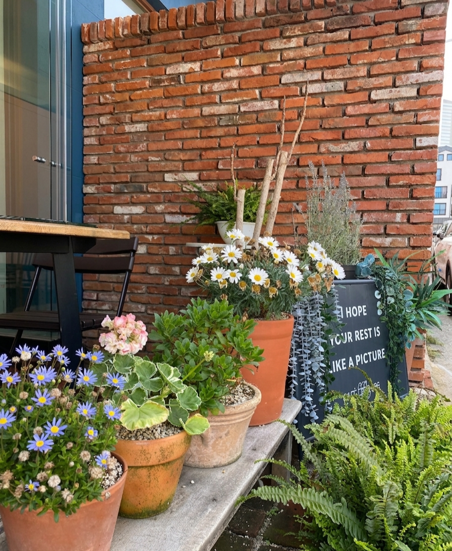 The beautiful outdoor garden and exterior view of Cafe 686 in Mojeon-ri, Jeonggwan2.