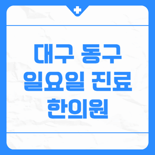 대구 동구 일요일 진료 한의원