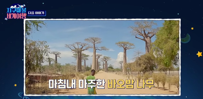 지구마불_바오밥나무