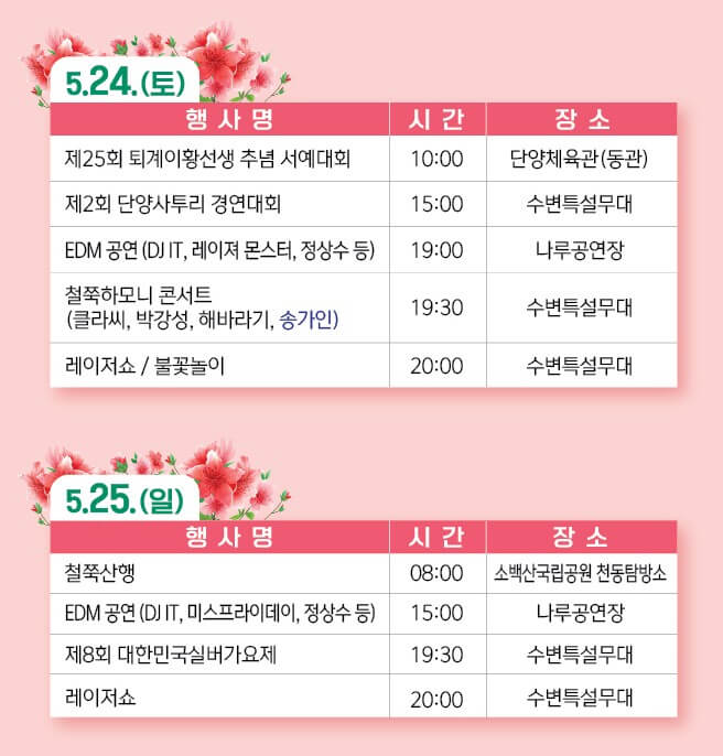 2025 단양 소백산 철쭉제: 봄의 절정을 만나는 시간