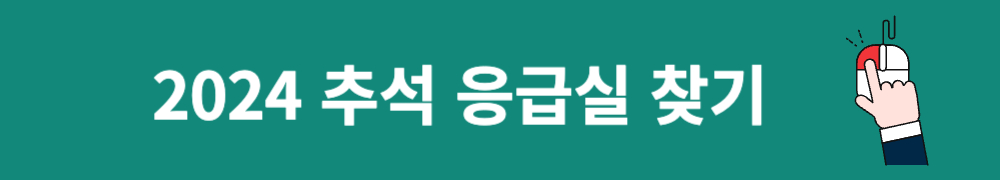 2024 추석 응급실 찾기