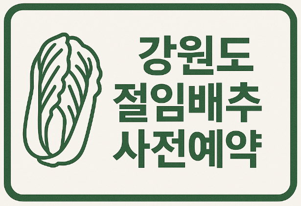 강원도 절임배추 사전예약