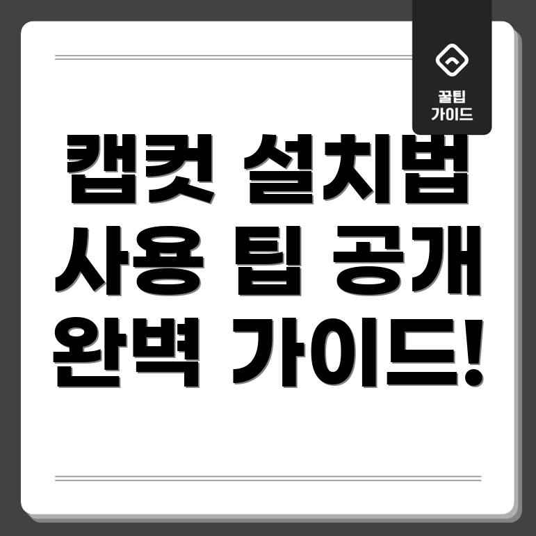 캡컷 PC버전