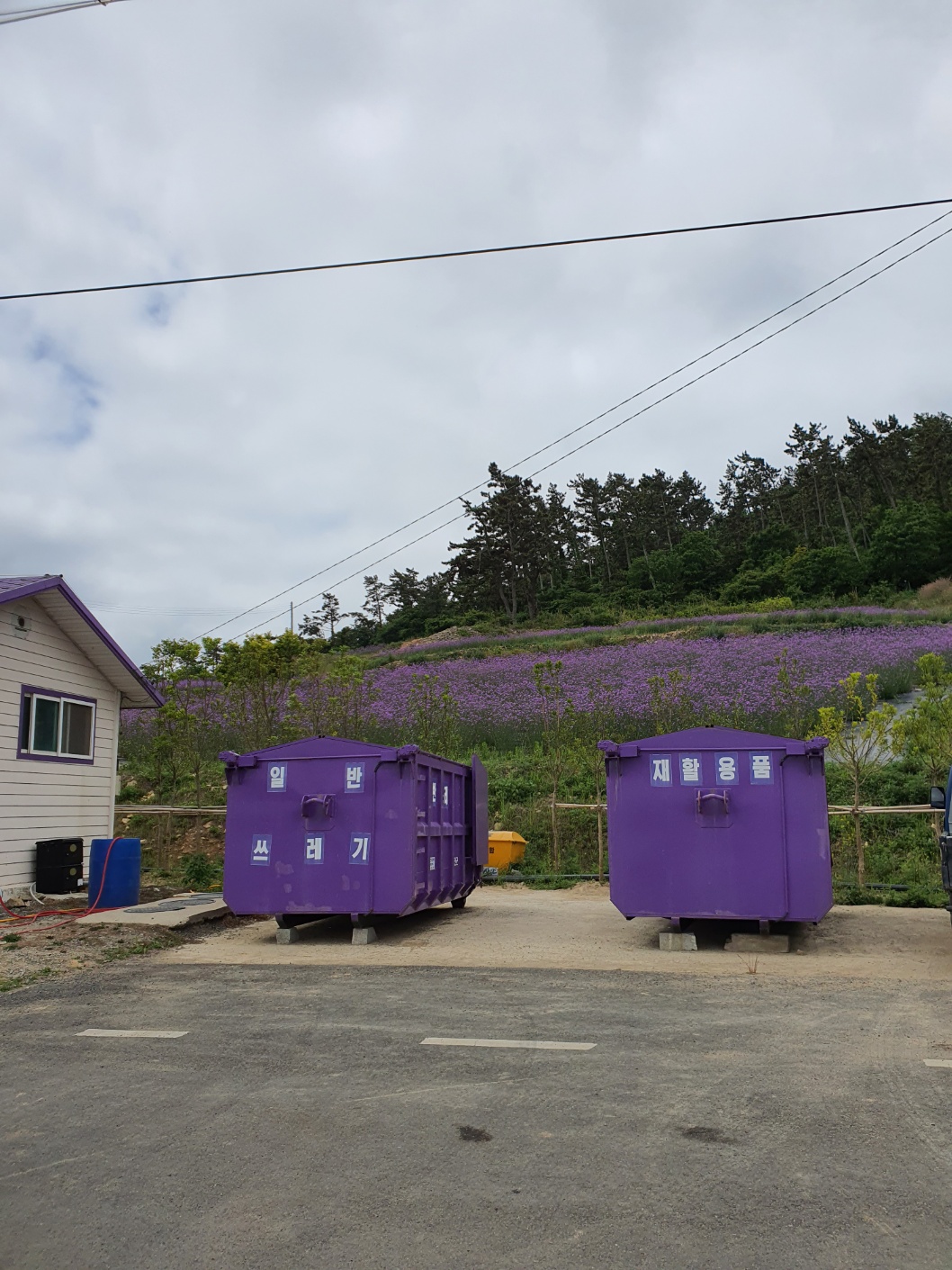퍼플섬 반월도 박지도 여행 