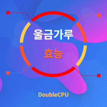 울금가루 효능 탐구