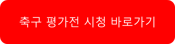평가전 시청