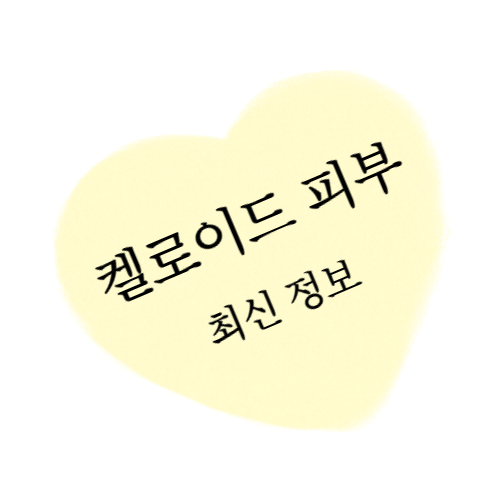 켈로이드 피부 관리를 위한 최신정보 대표 섬네일 이미지입니다.
