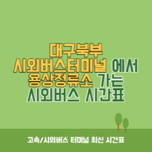 대구북부시외버스터미널에서 용상정류소 가는 시외버스 시간표 최신정보