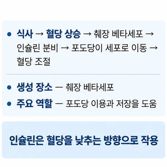 식사 후 혈당이 올라가면 췌장 베타세포에서 인슐린이 분비돼 포도당이 세포로 들어가는 과정을 표현한 이미지
