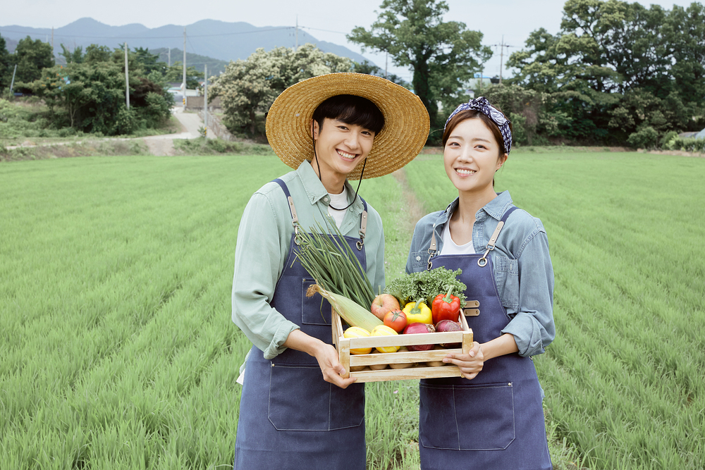 농할상품권 03