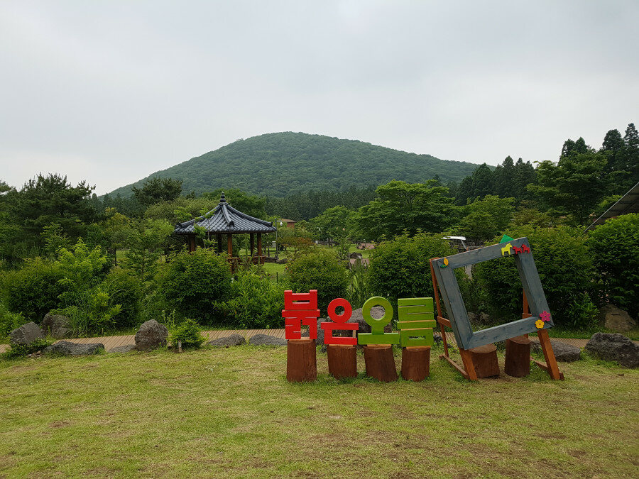 제주 붉은오름 자연휴양림 주변 맛집 카페 마트 전통시장 오일장 특산물 시세 강아지 동반 정보