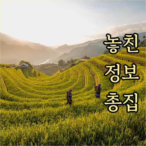 미국 ESTA 수수료 21달러 인상!..