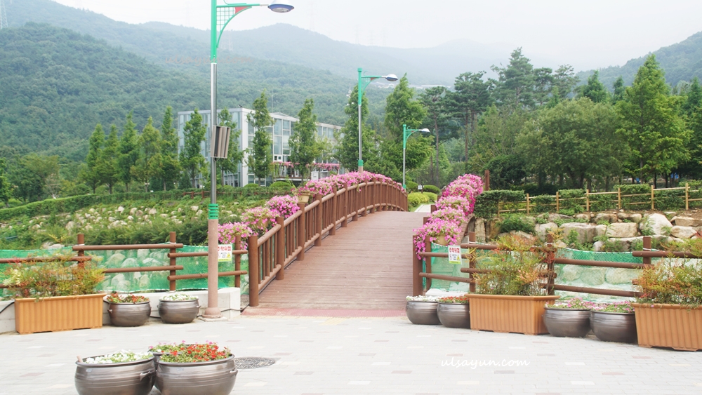 화명수목원 입구 다리