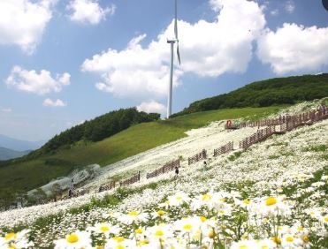 평창육백마지기