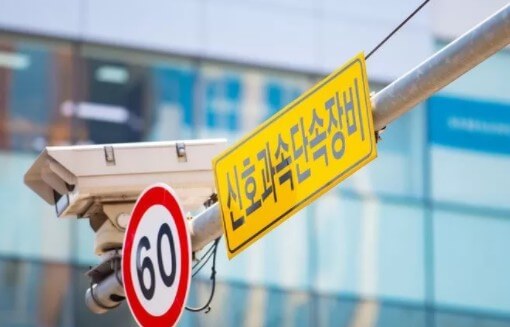 현재 주차 단속 시스템