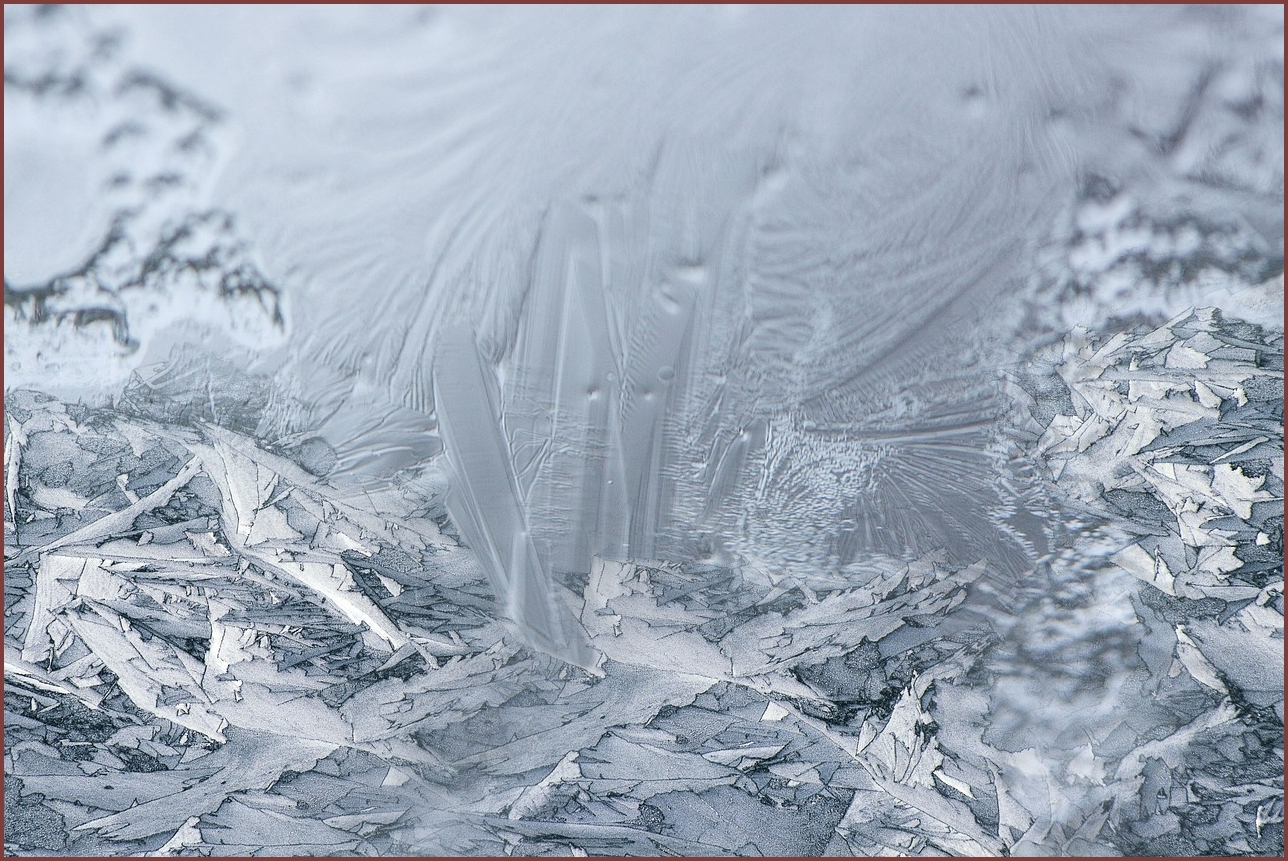 무쏘 픽업트럭 가격