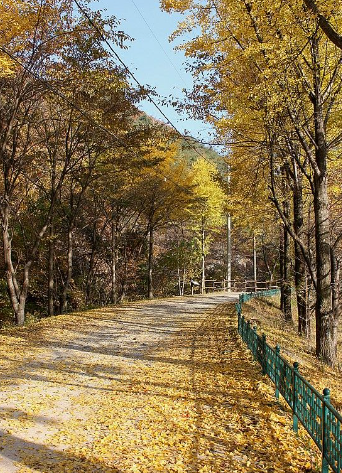 2025 월악산 단풍 절정 시기! 가을 명소 &amp; 등산 코스 완벽 정리