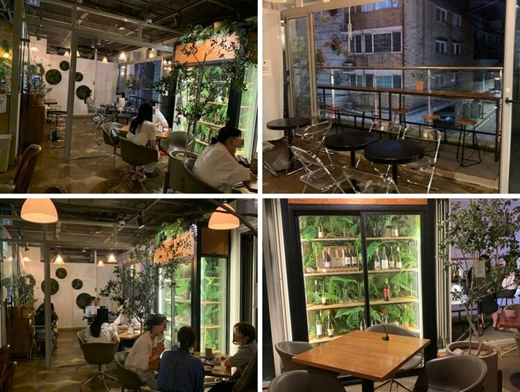 냉장 쇼케이스 안의 식물과 술병 인테리어 및 자리