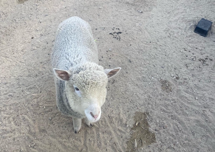 센트럴 곤충 생태농장