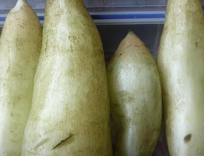 야콘의 효능