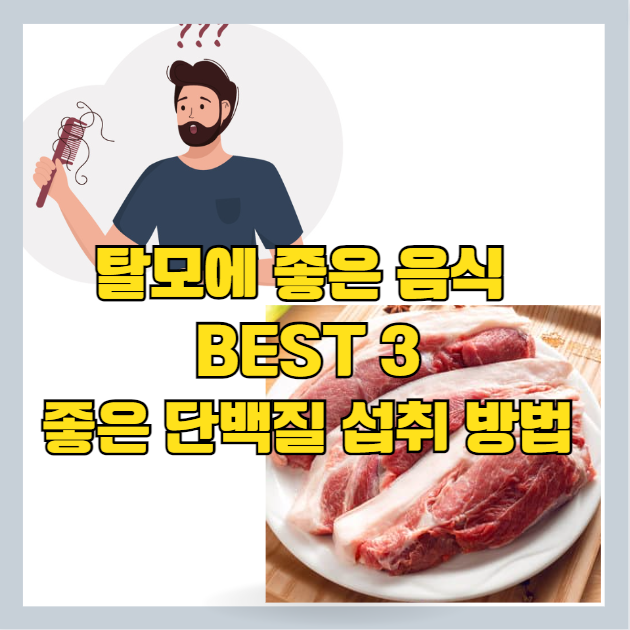 탈모에 좋은 음식 Best 3 - 단백질 보충제와 좋은 영양소 썸네일
