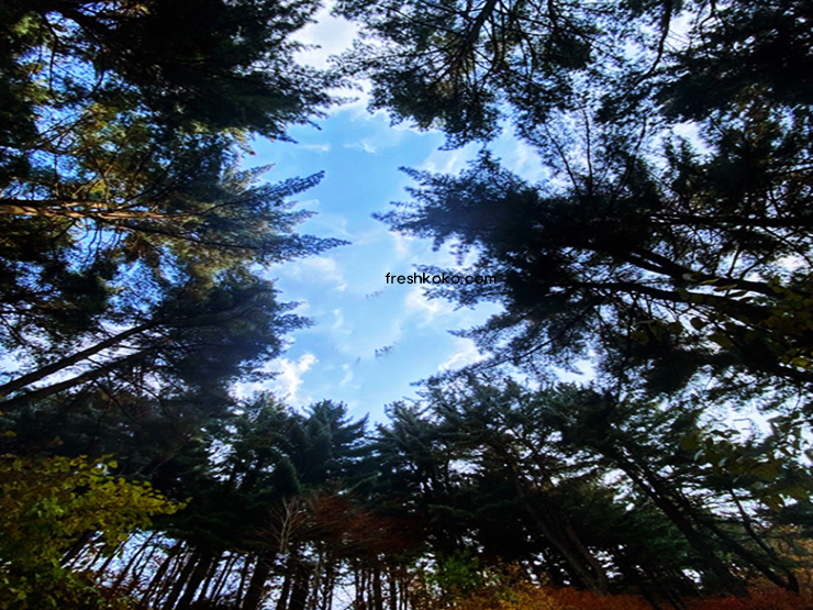 가평 가볼만한곳 베스트10