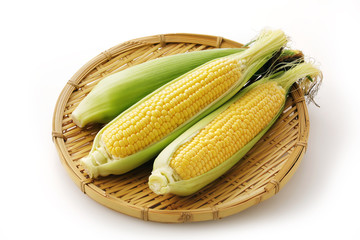 옥수수 효능 12가지와 부작용, 칼로리 총정리!