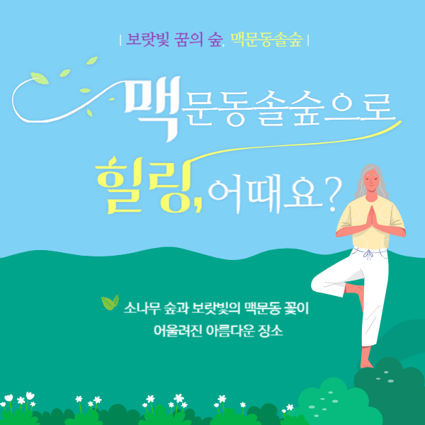 맥문동 솔숲으로 힐링 여행하기