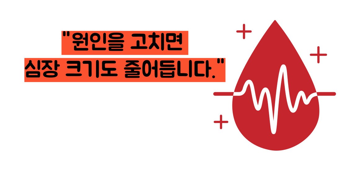 심장 비대증 원인과 치료