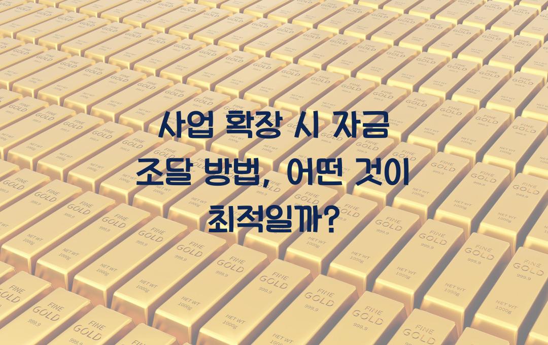 사업 확장 시 자금 조달 방법 (정부 지원금 vs 투자 유치 vs 대출)