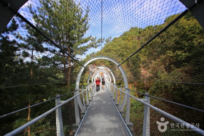 한탄강 주상절리 유네스코 세계문화유산 현무암 협곡 지질공원