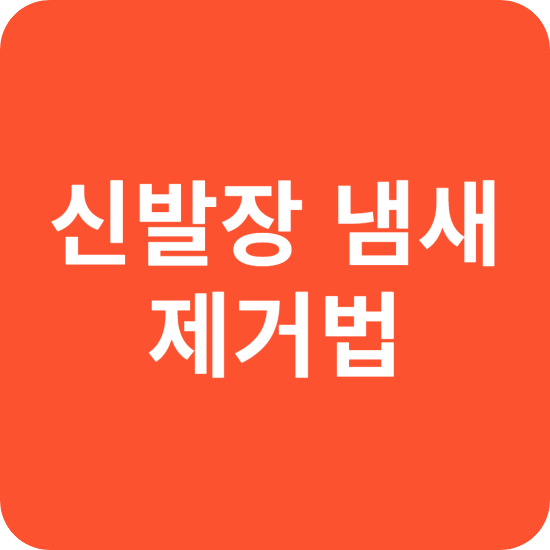 신발장 냄새제거법 : 건강한 공간 관리