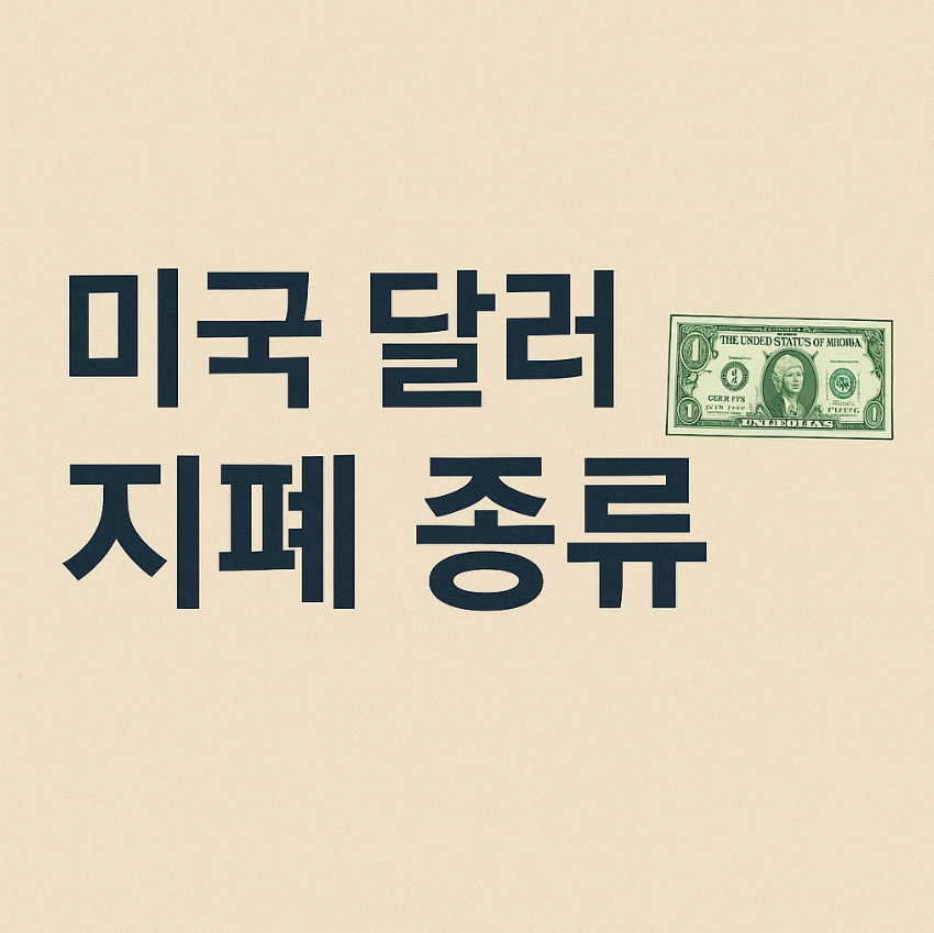 미국 달러 지폐 종류 완벽 정리 단위, 인물, 특징까지 한눈에